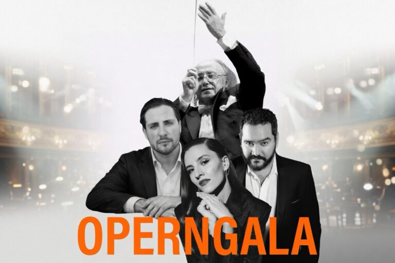 Афиша концерта Вечер мировой оперы в Берлине: Operngala в 2026 году