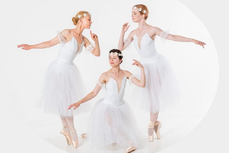 Афиша концерта Благотворительный балетный гала-концерт в Таллинне в 2024 году
