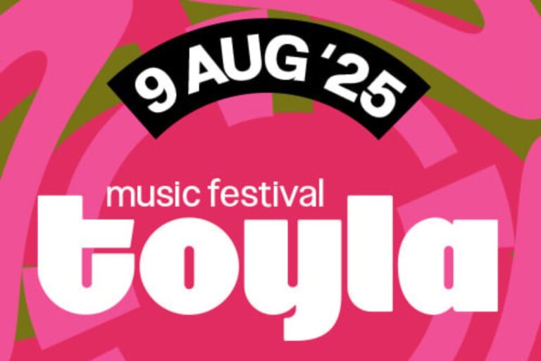 Афиша концерта Toyla Music Festival в Алматы: Пошлая Молли, Каста, Антоха MC в 2025 году